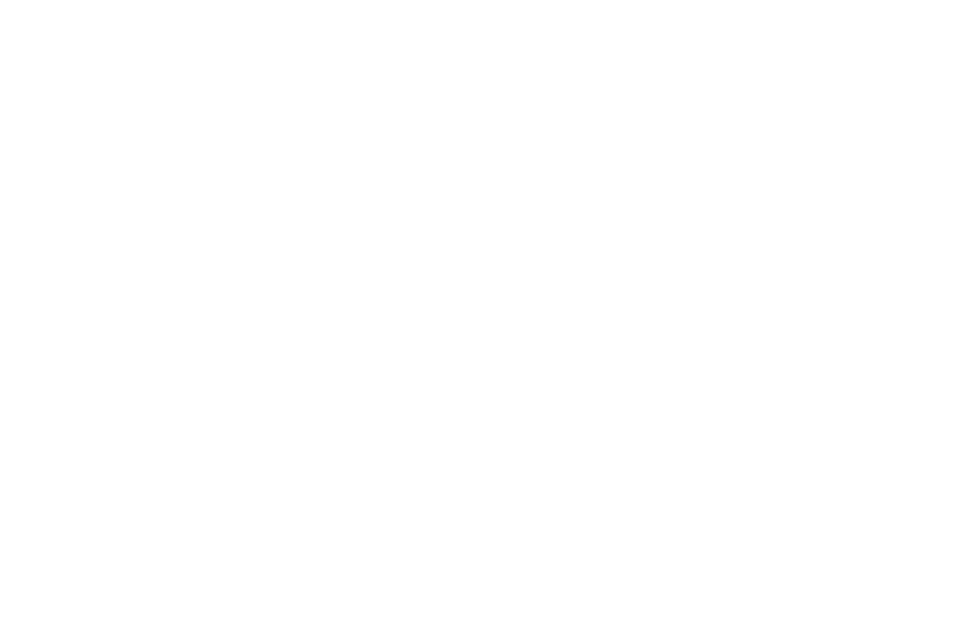 Whip